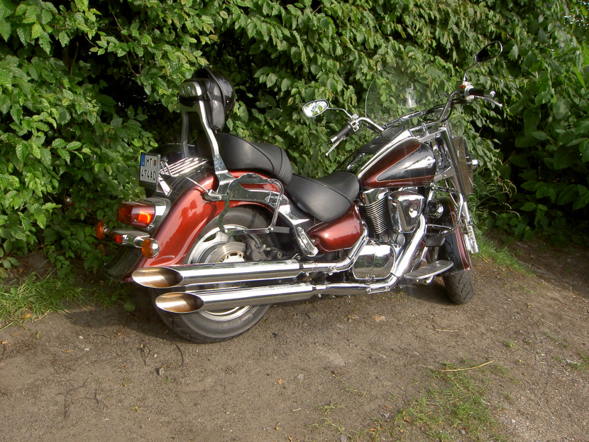 BRUTAL SCREAM 80 L, dĺžka 800 mm