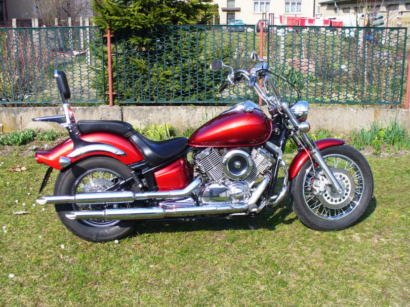 WILD AND FREE 80